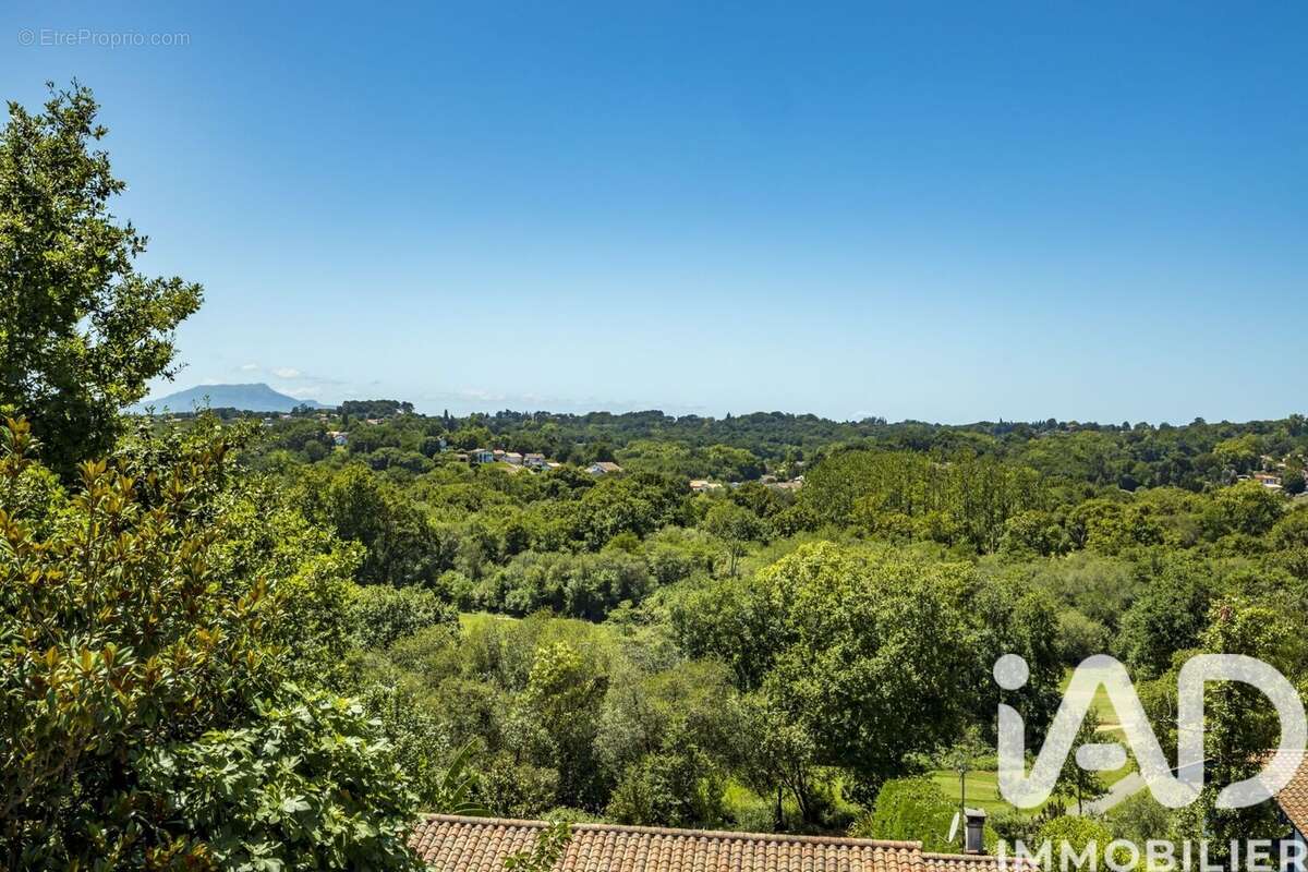 Photo 5 - Maison à BASSUSSARRY