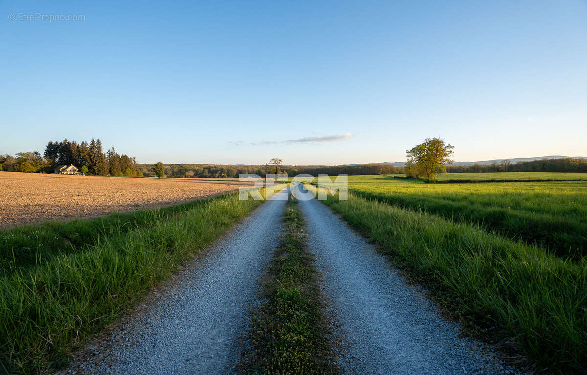 Domaine d’exception de 54,5 hectares avec maison de 300 m2, étang privé, piscine et 1 500 m2 de dépendances - photo 15