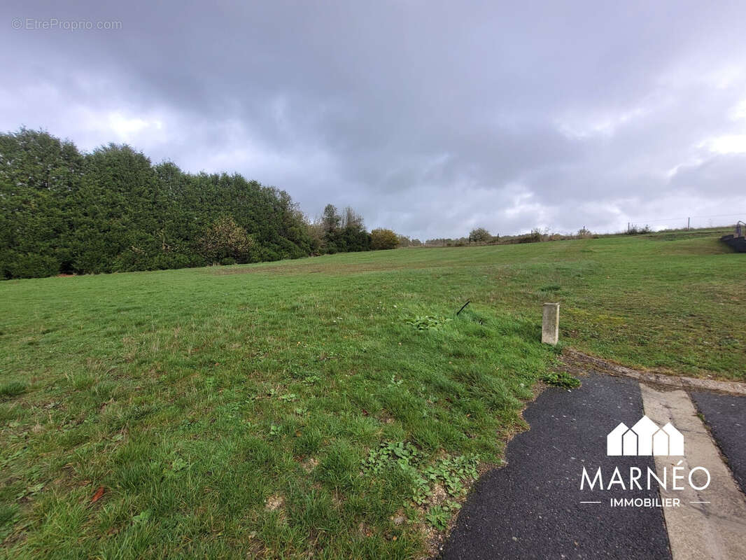 Terrain à MONTMIRAIL