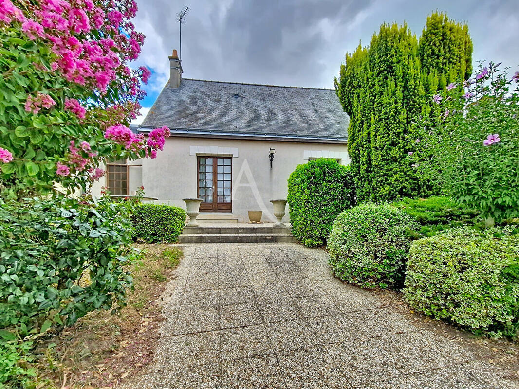 Maison à LE PUY-NOTRE-DAME
