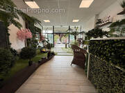 Commerce à SAINTE-MAXIME