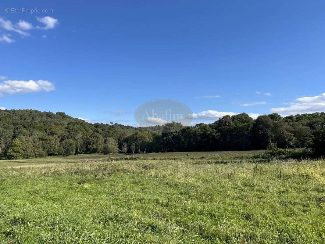 Terrain à BARBAZAN-DEBAT