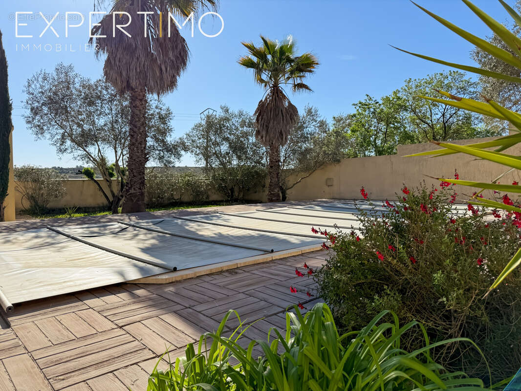 Maison à MONTPELLIER