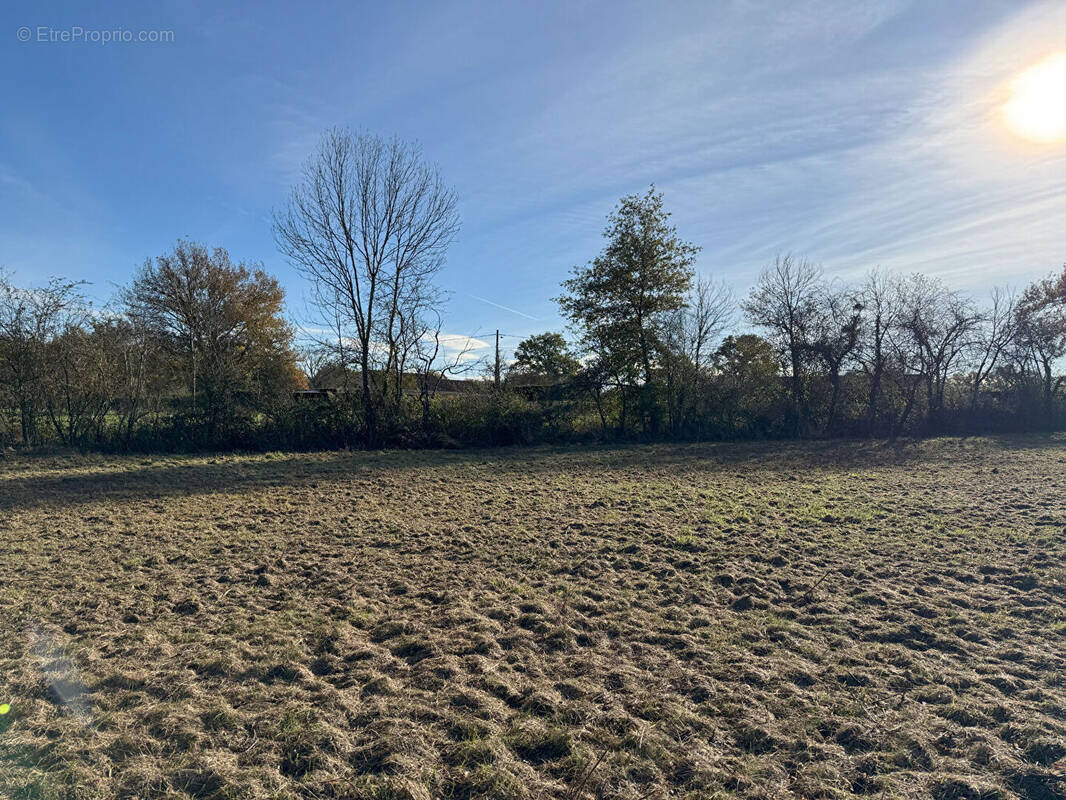 Terrain à ORLEAT