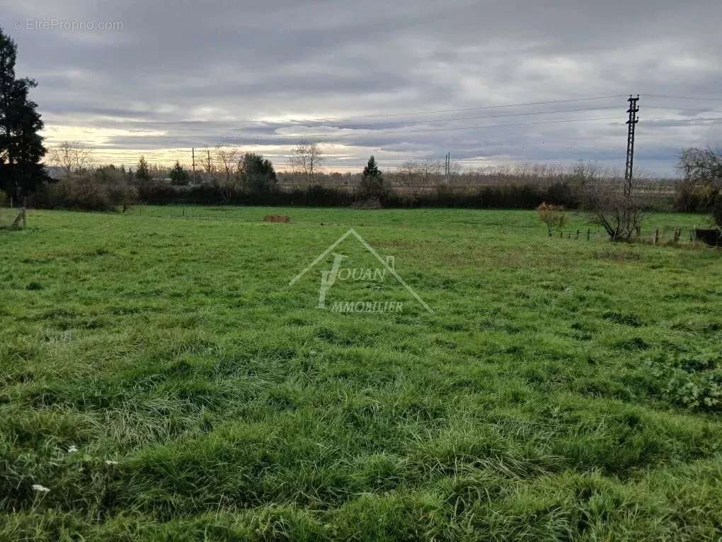 Terrain à VARENNES-SUR-ALLIER
