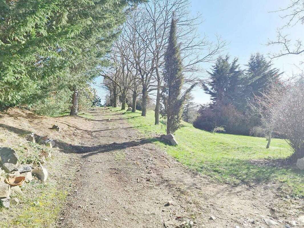 GRANGE sur TERRAIN 7543m² VUES magnifiques - photo 8
