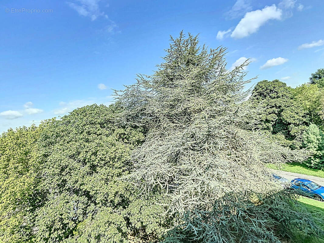 Appartement à SAINT-MICHEL-SUR-ORGE