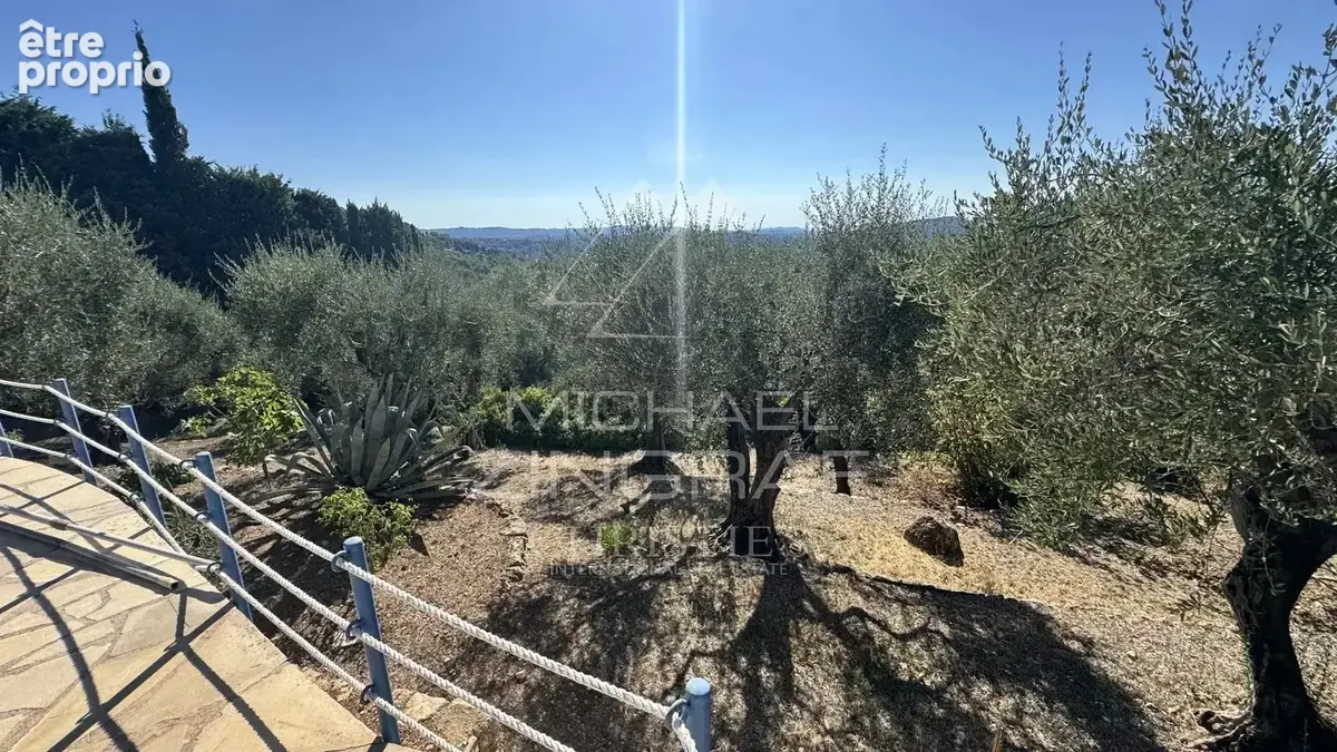 Villa d'architecte avec vue mer et oliveraie - photo 13