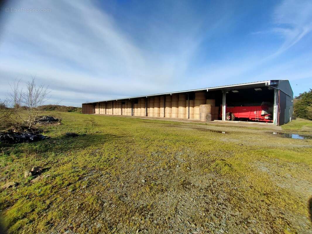 Terrain à BAZOGES-EN-PAREDS