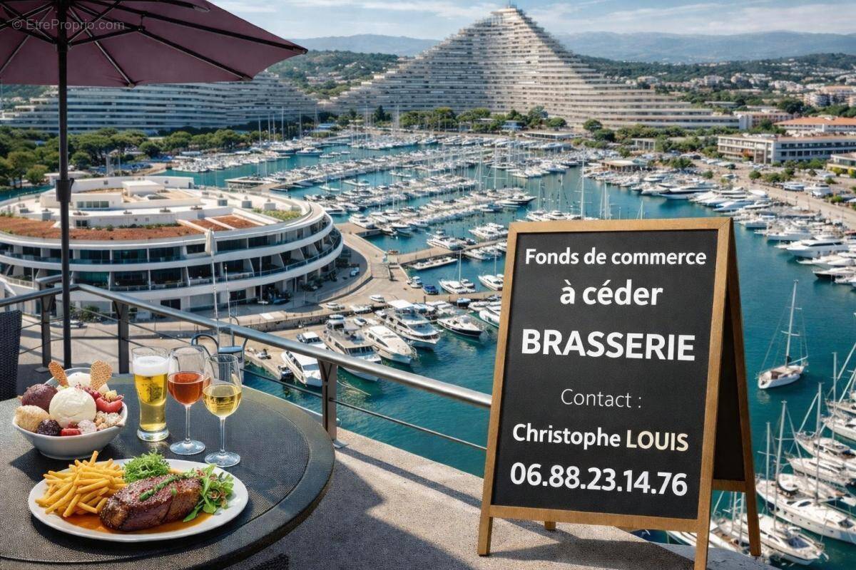 Commerce à VILLENEUVE-LOUBET