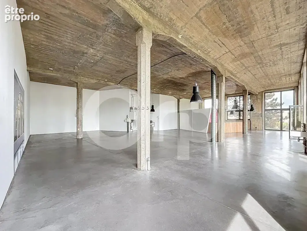 Loft Mulhouse 4 pièce(s) 226m2 - photo 2
