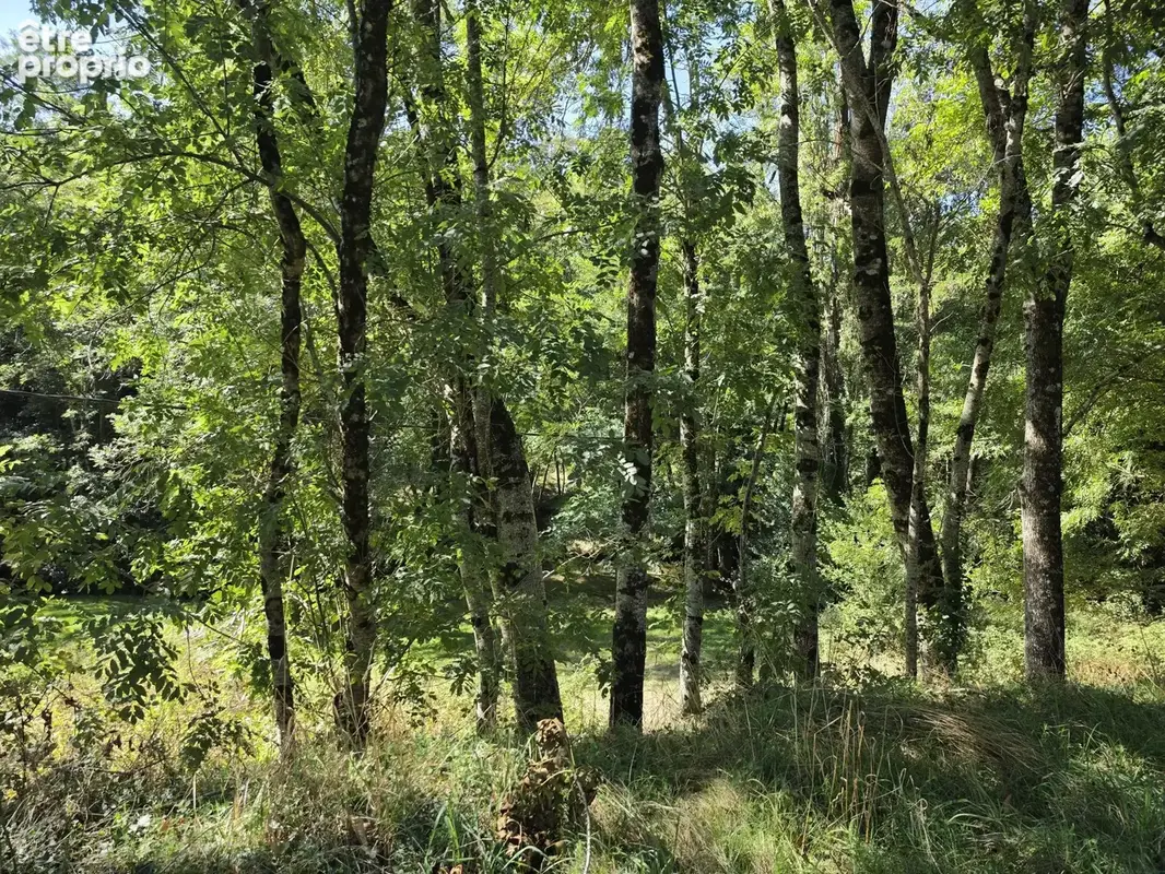 Maison de 84 m2 avec sous-sol complet sur 4 965 m2 de terrain   Accès rivière   Silhac - photo 17