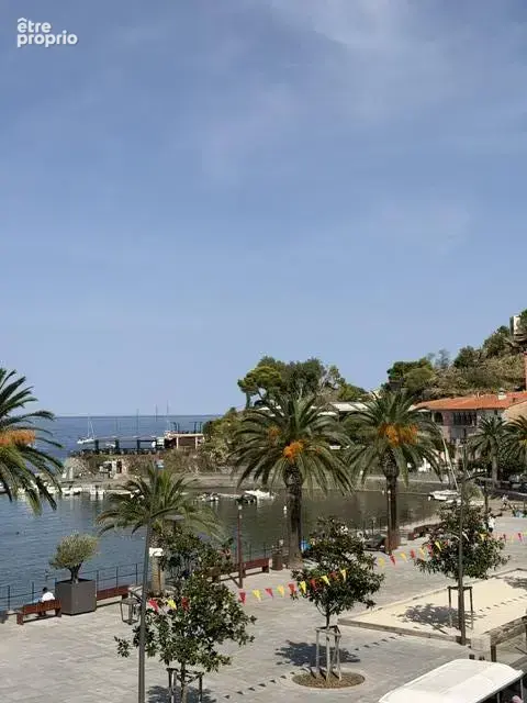 Vue sur la baie de Collioure - photo 11