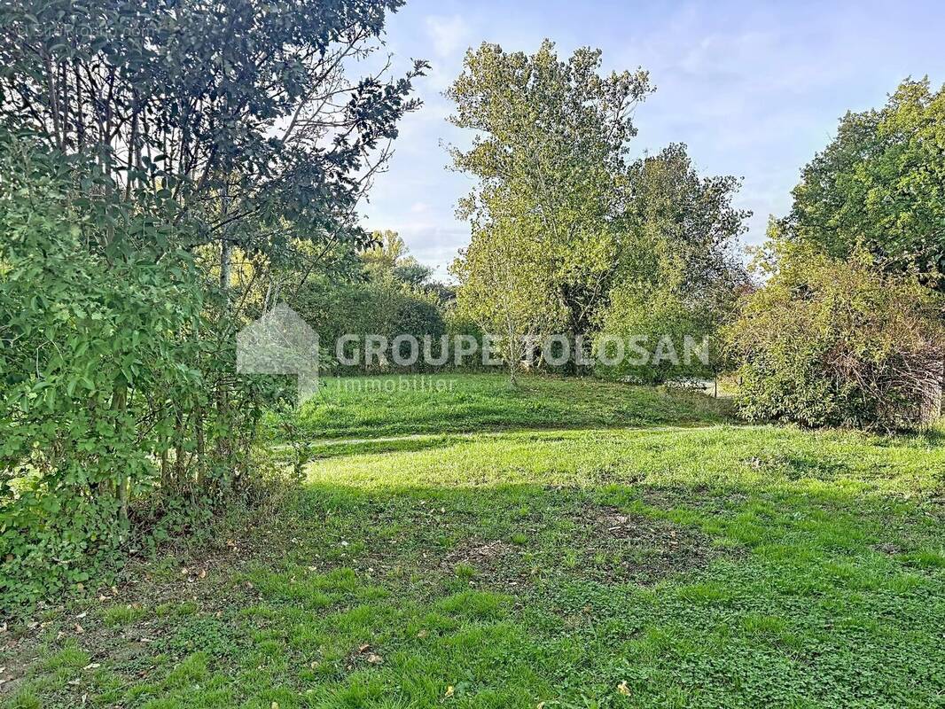 Terrain à CASTELMAUROU