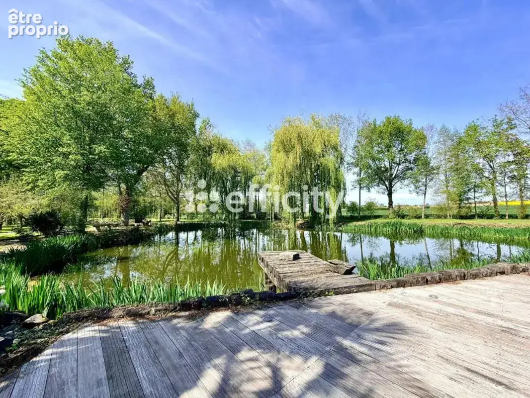 Propriété - photo 14