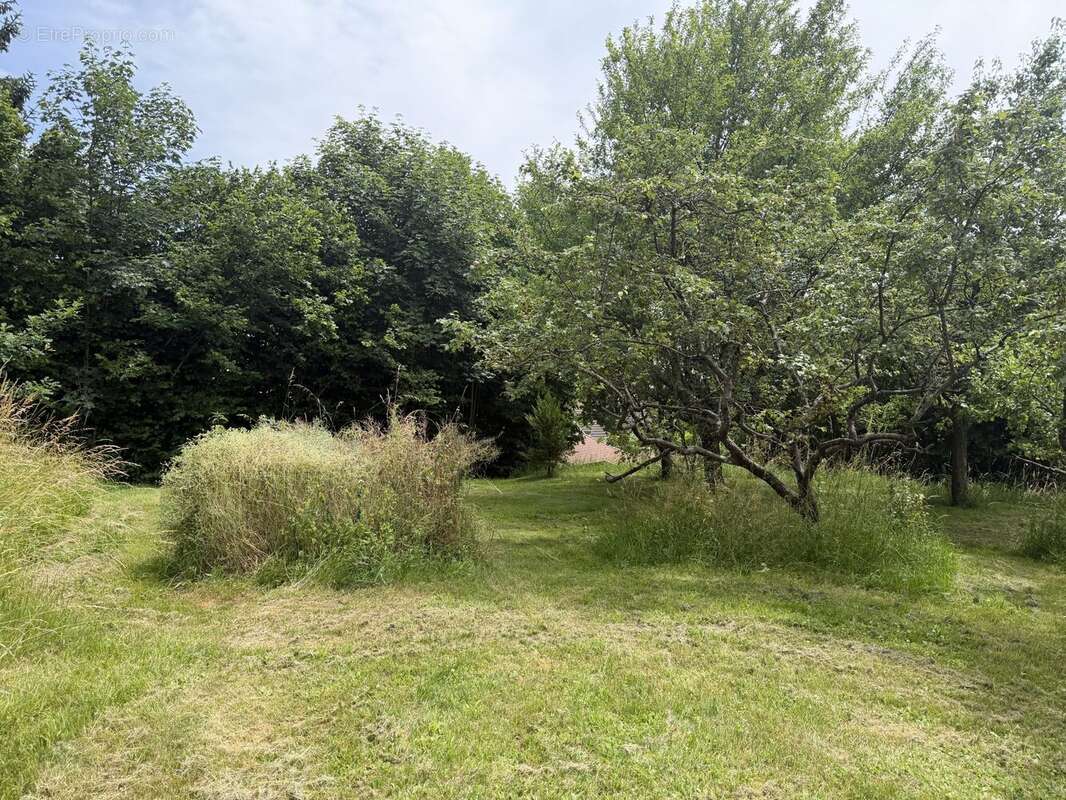 Terrain 1200 m² à Auxelles-Haut  - photo 4