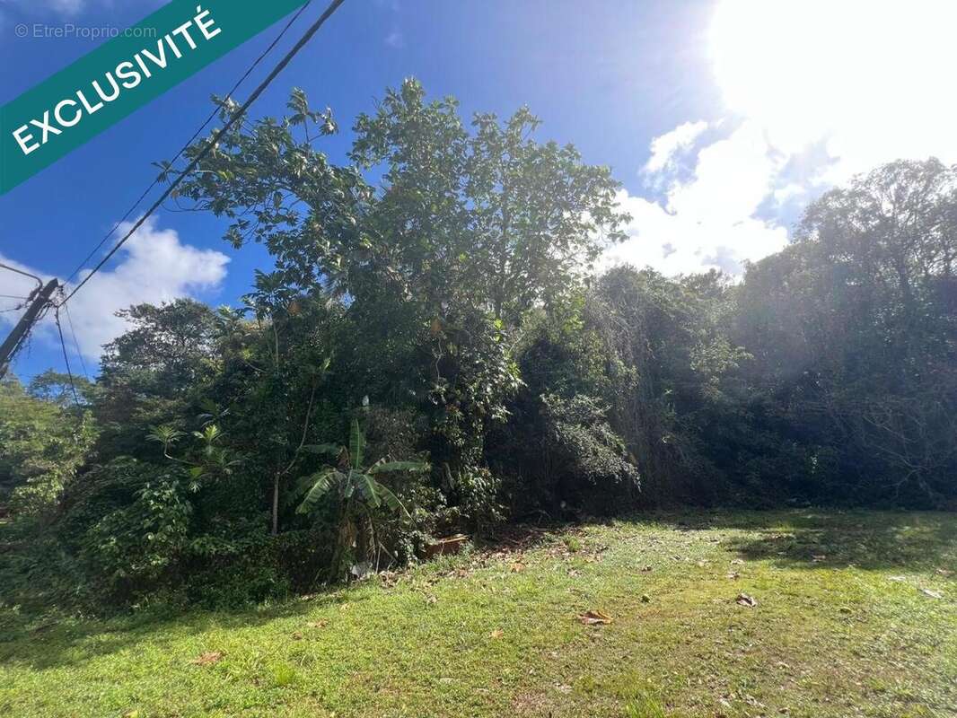 Photo 3 - Terrain à LE GOSIER