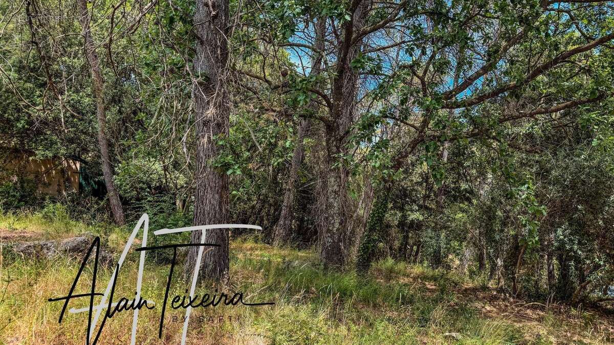 Photo 3 - Terrain à LORGUES