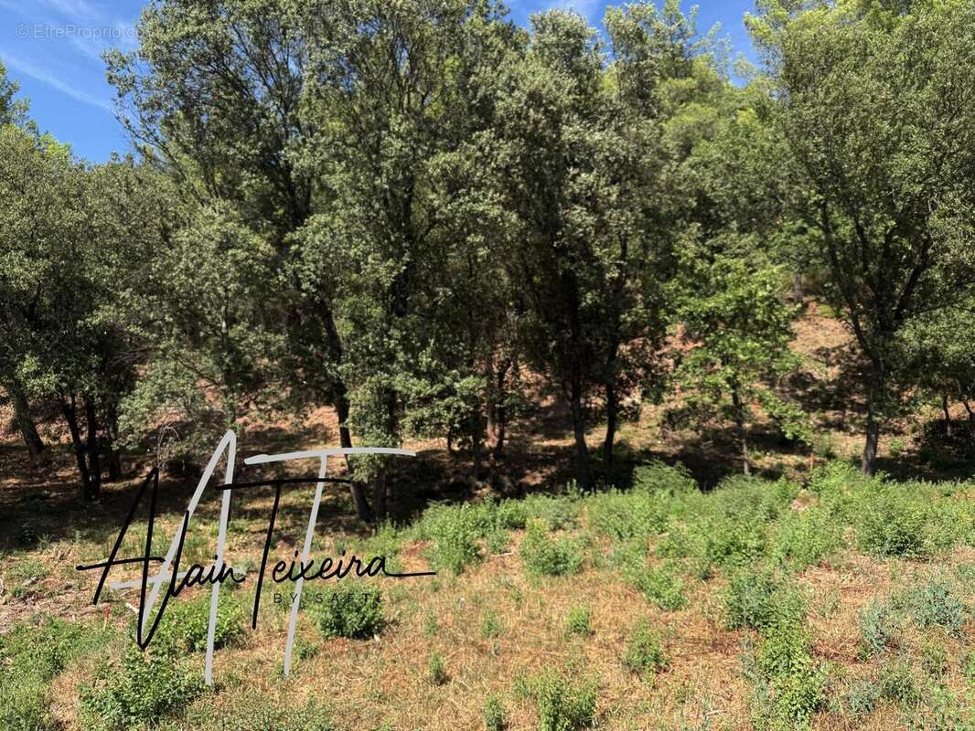 Photo 2 - Terrain à TARADEAU