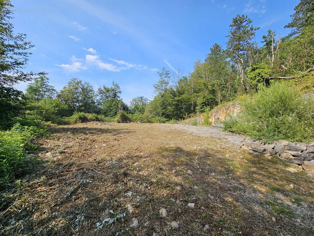 Terrain à SAINT-CLAUDE