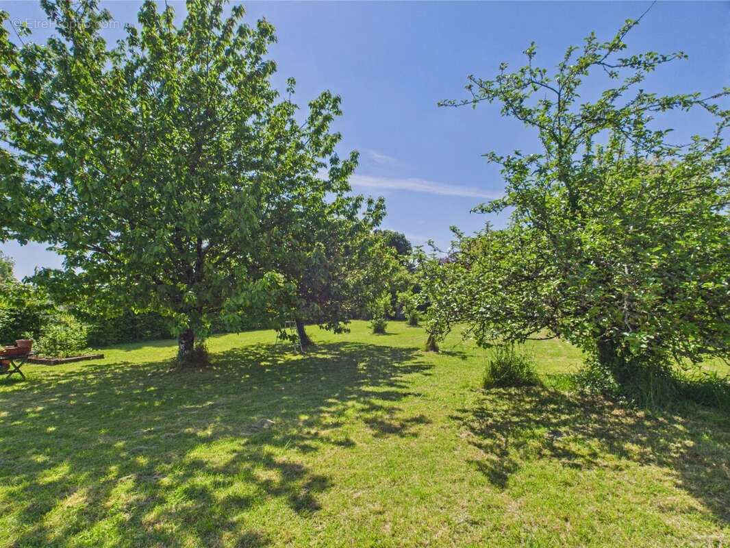 Maison à VERTEILLAC