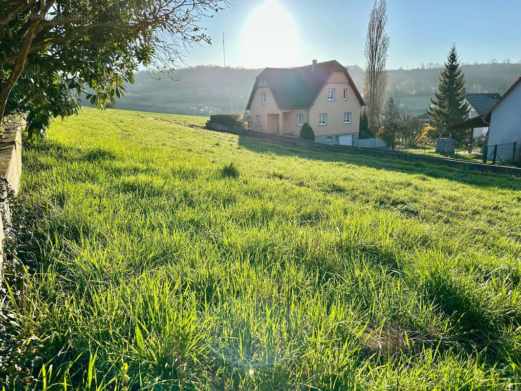Terrain à WASSELONNE