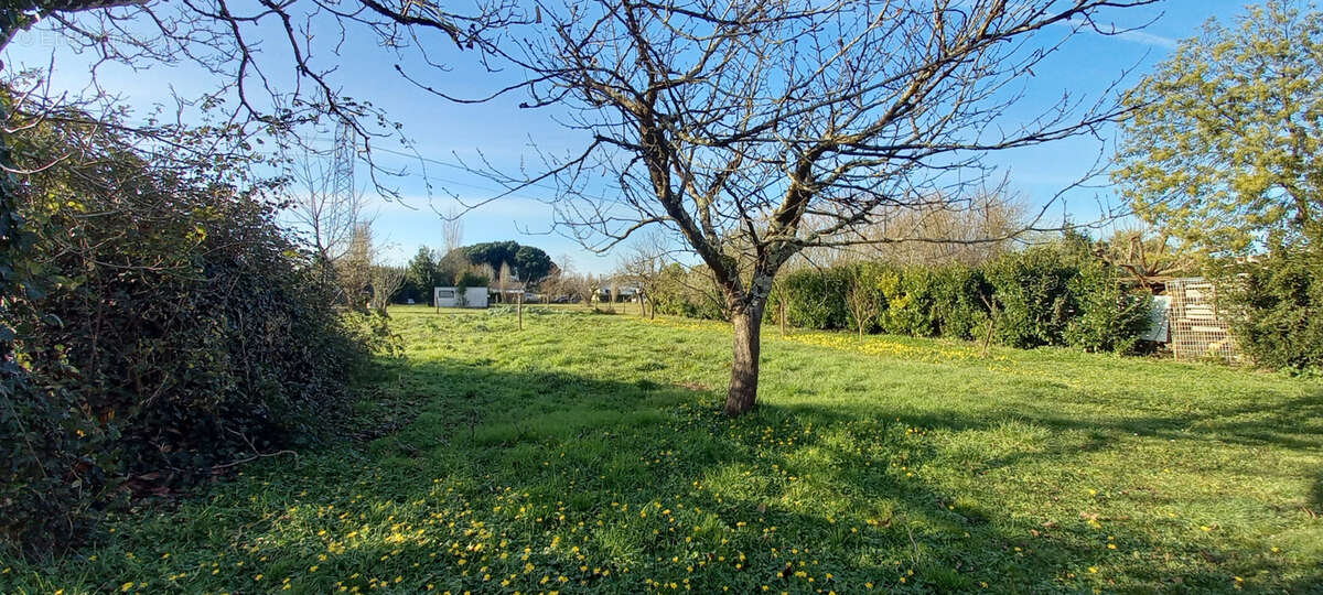 Terrain à AMBARES-ET-LAGRAVE