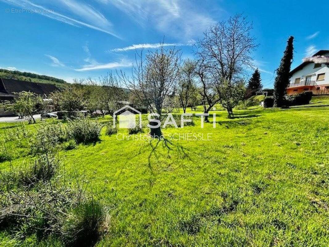 Photo 1 - Terrain à COURTELEVANT