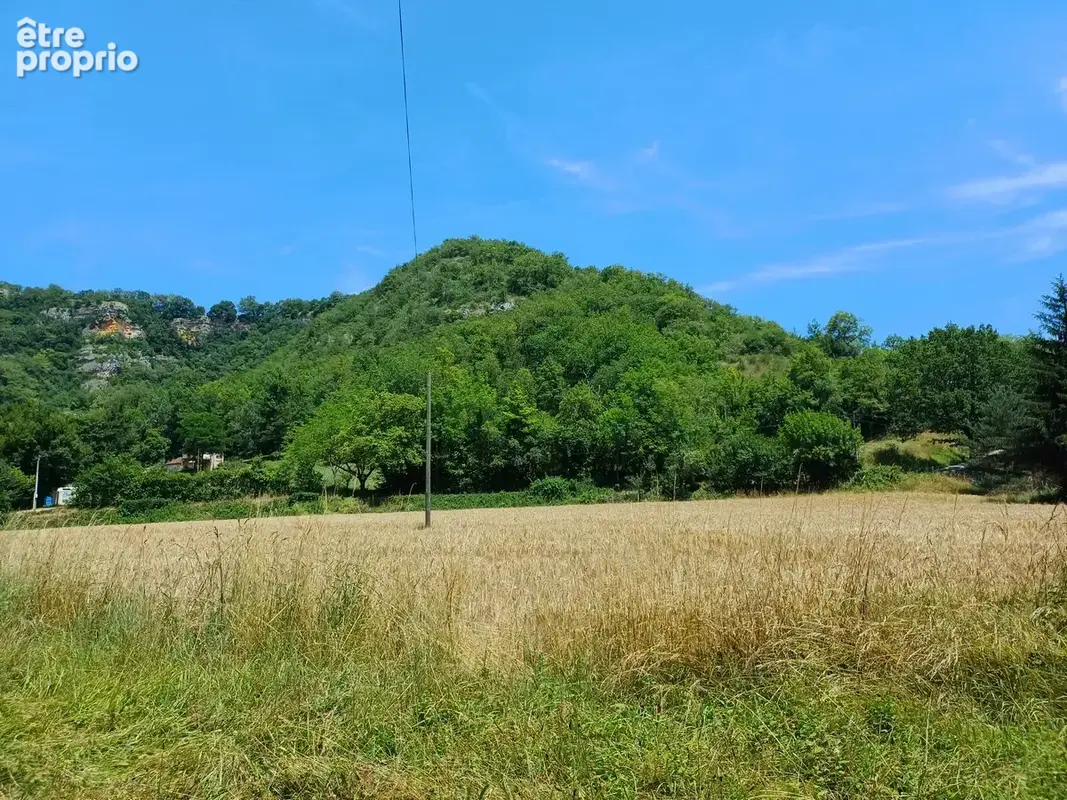 Propriété avec dépendances et étang sur 5.3 ha de terrain - photo 15