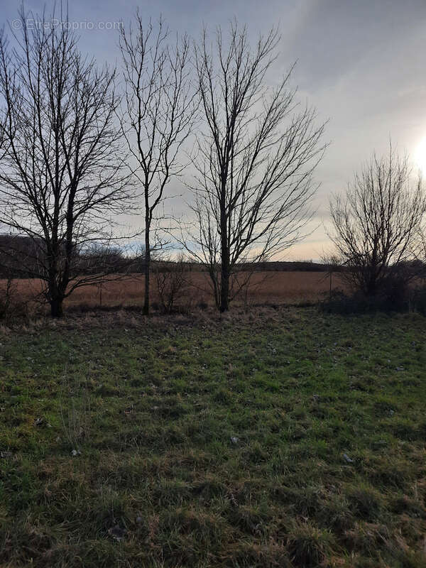 Terrain à LA CAVALERIE