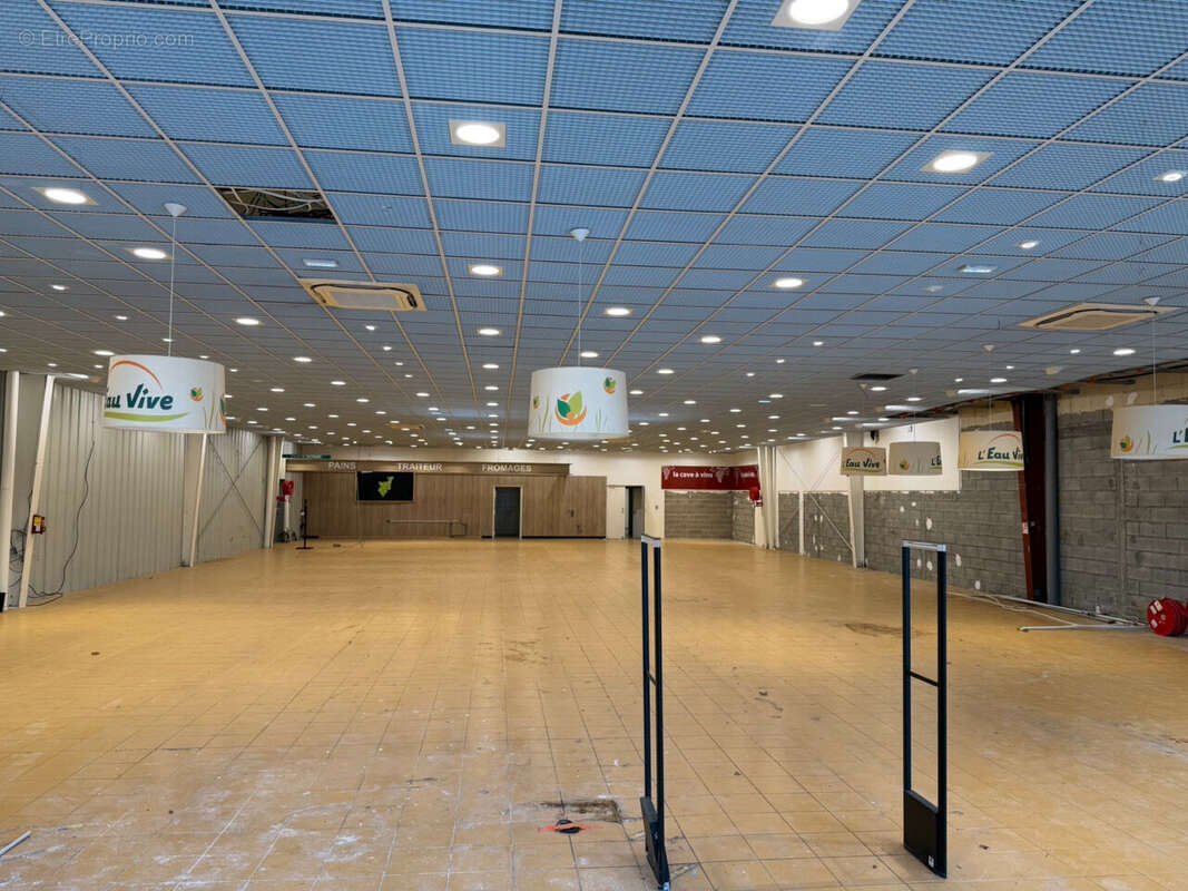 COLMAR - Zone Aérodrome - 4 rue Louis Blériot - 709 m2 - photo 6