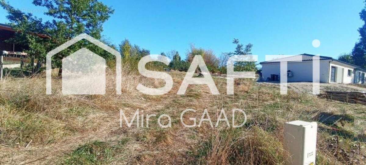 Photo 3 - Terrain à RABASTENS