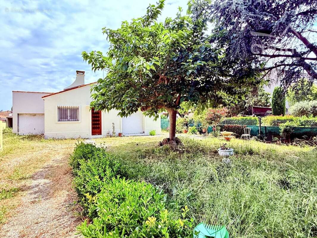 Maison T3 72 m² plain-pied - parcelle 563 m² avec garage - photo 3