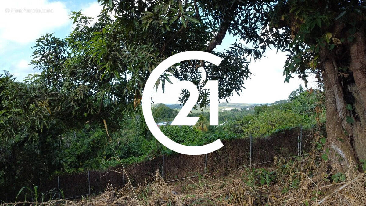 Terrain à LE FRANCOIS