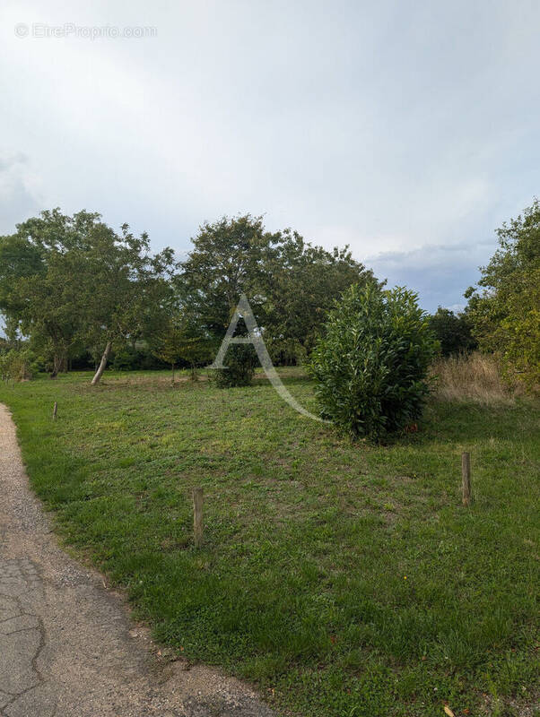 Terrain à LA CHAPELLE-SAINT-MARTIN-EN-PLAINE