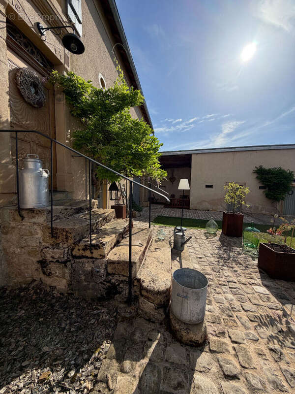 Maison Basse Rentgen 8 pièce(s) 270.66 m2 - photo 13