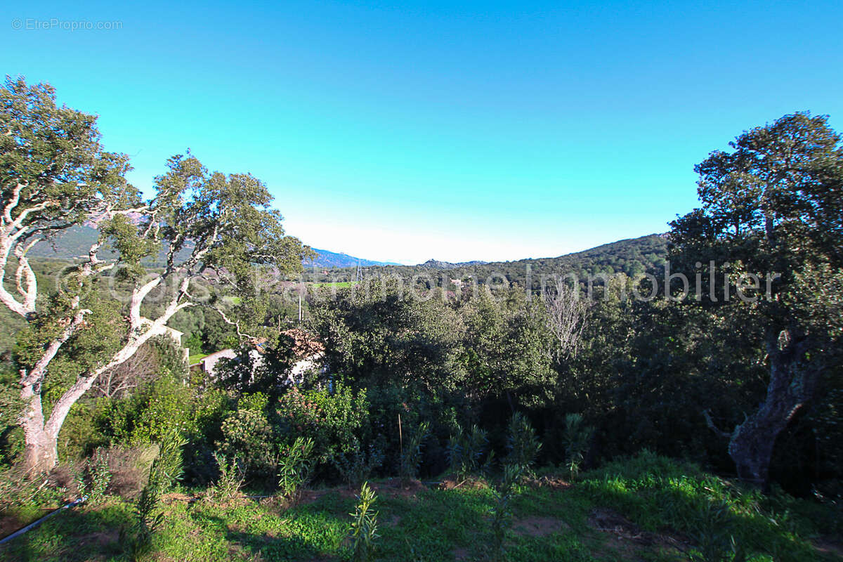 Maison à PORTO-VECCHIO