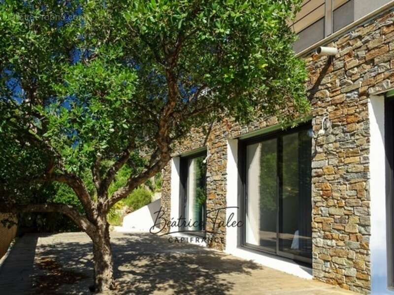 Maison à LE LAVANDOU