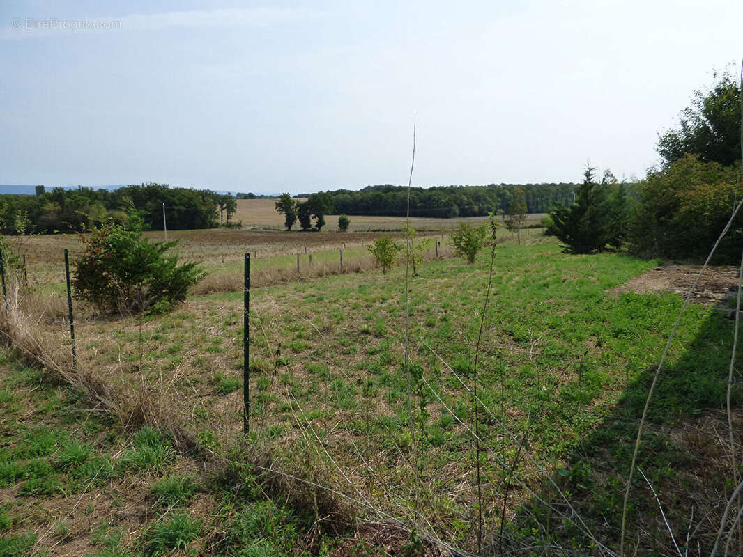 Ferme avec + de 6HA de terrain - photo 5