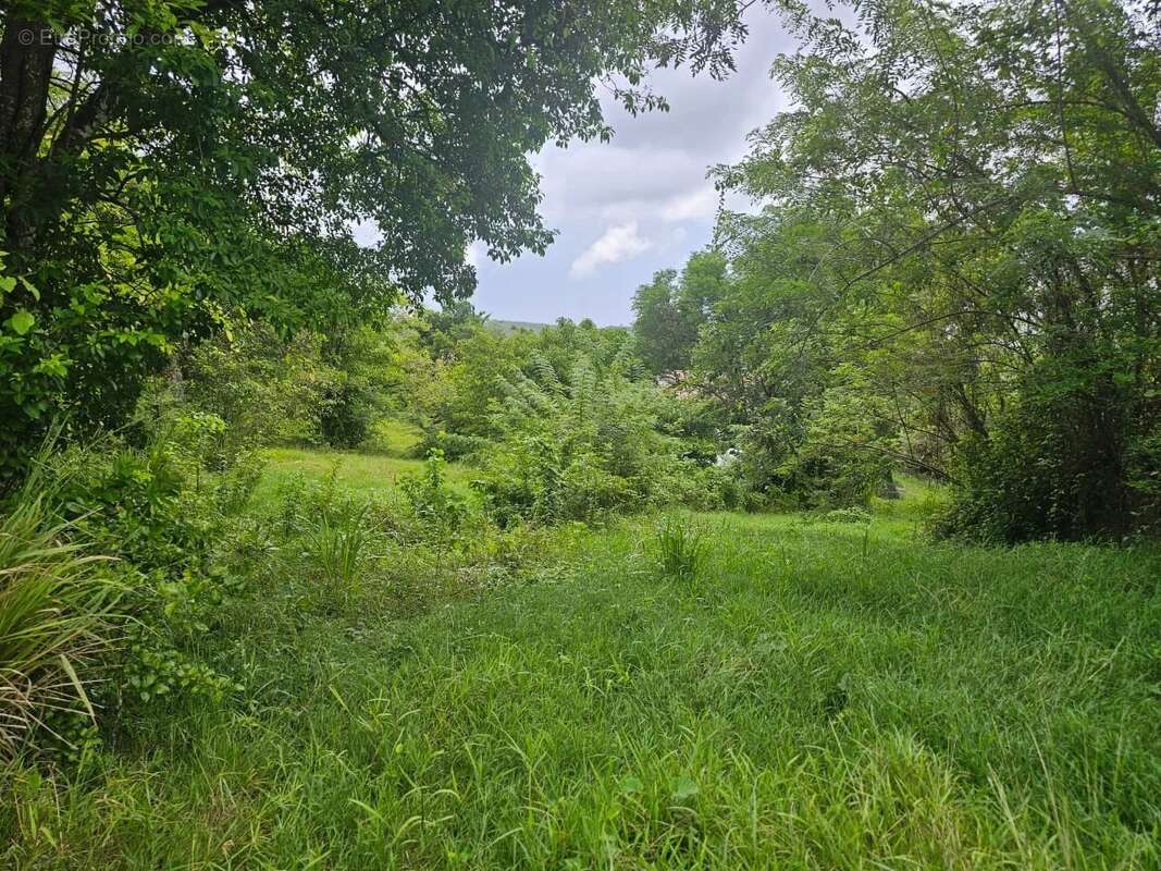 Terrain à LES TROIS-ILETS