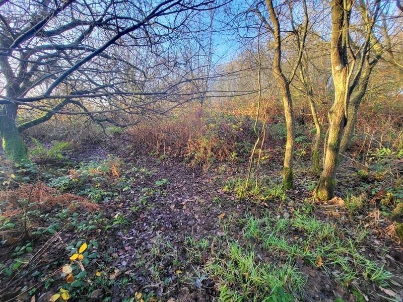 Terrain à TELGRUC-SUR-MER