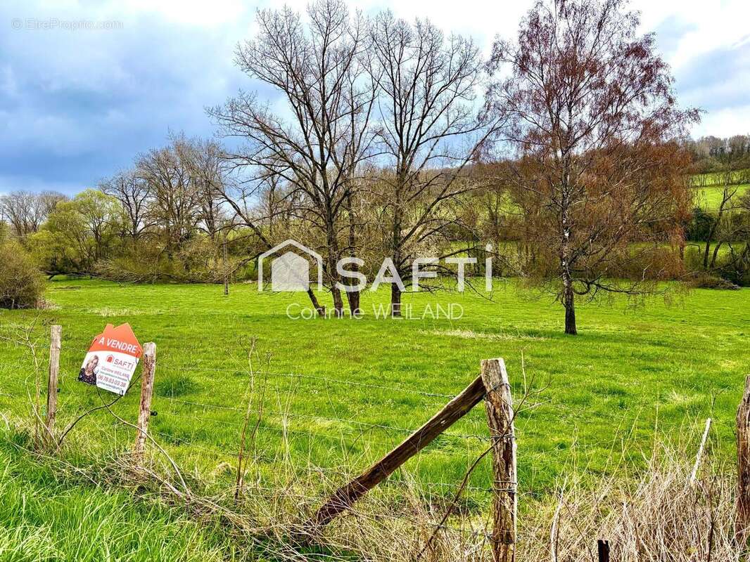 Photo 3 - Terrain à LONGEVILLE-LES-SAINT-AVOLD