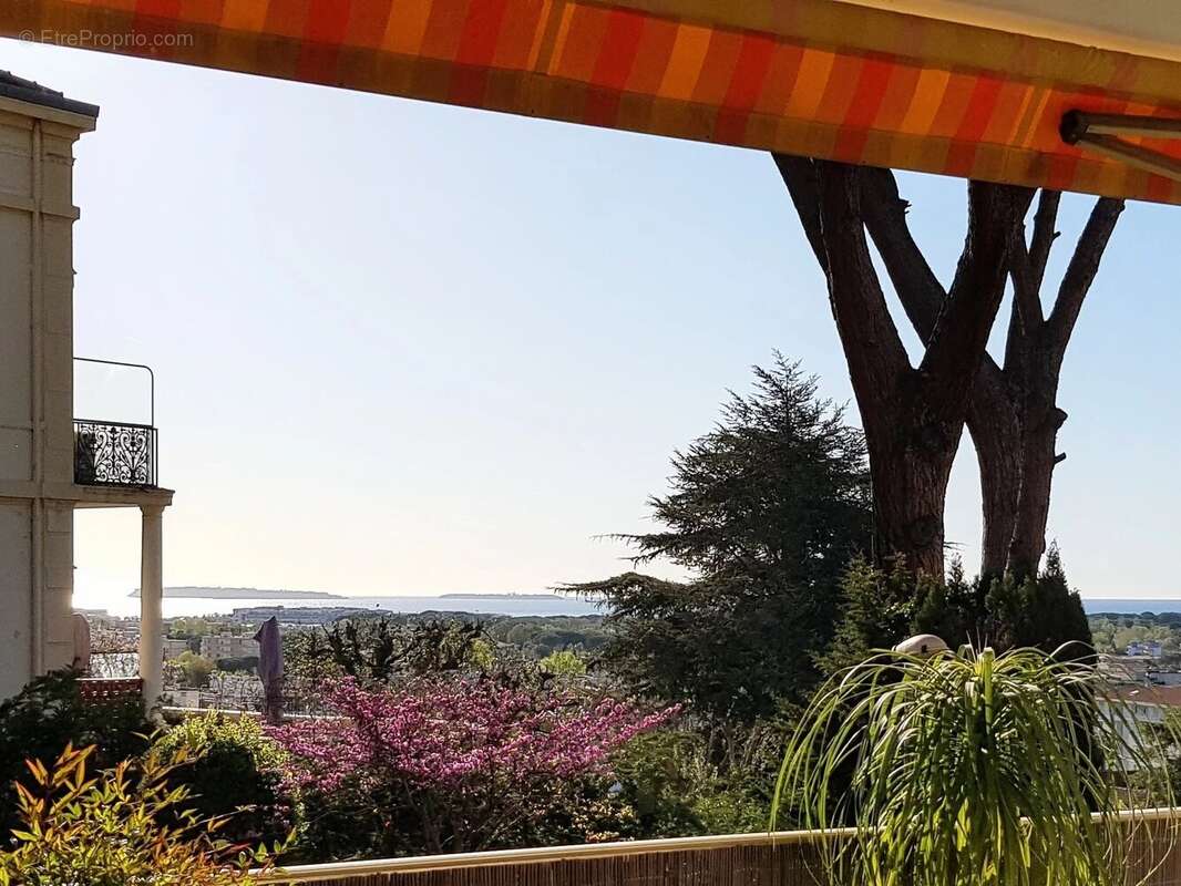 Superbe appartement t2 calme / vue mer grande terrasse et garage - photo 7