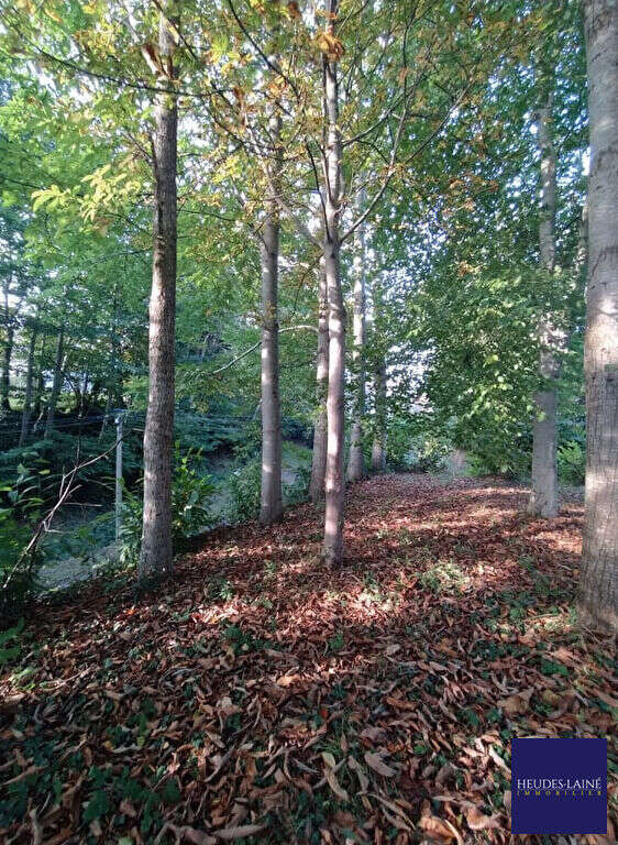 Terrain Grandparigny 950 m2 - photo 4