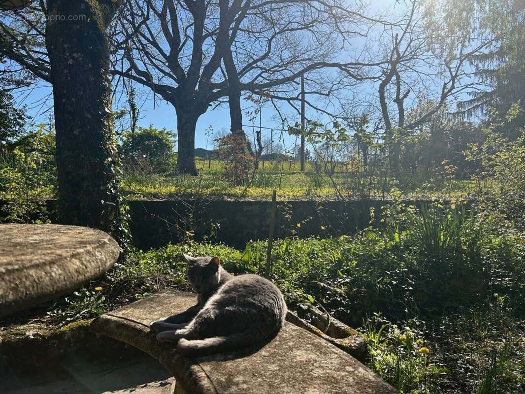 Maison à MONBAZILLAC