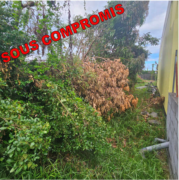 Photo 2 - Terrain à SAINT-ANDRE