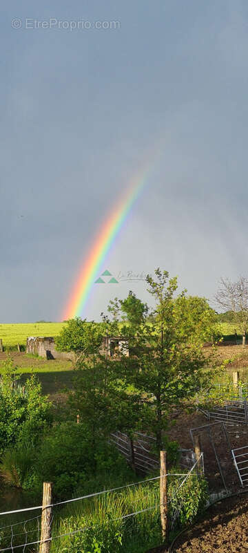 Terrain à VIEUX-FERRETTE