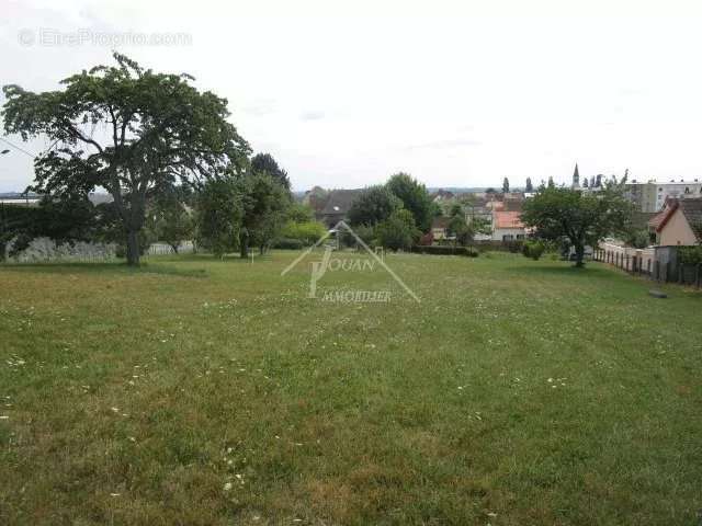 Terrain à VARENNES-SUR-ALLIER