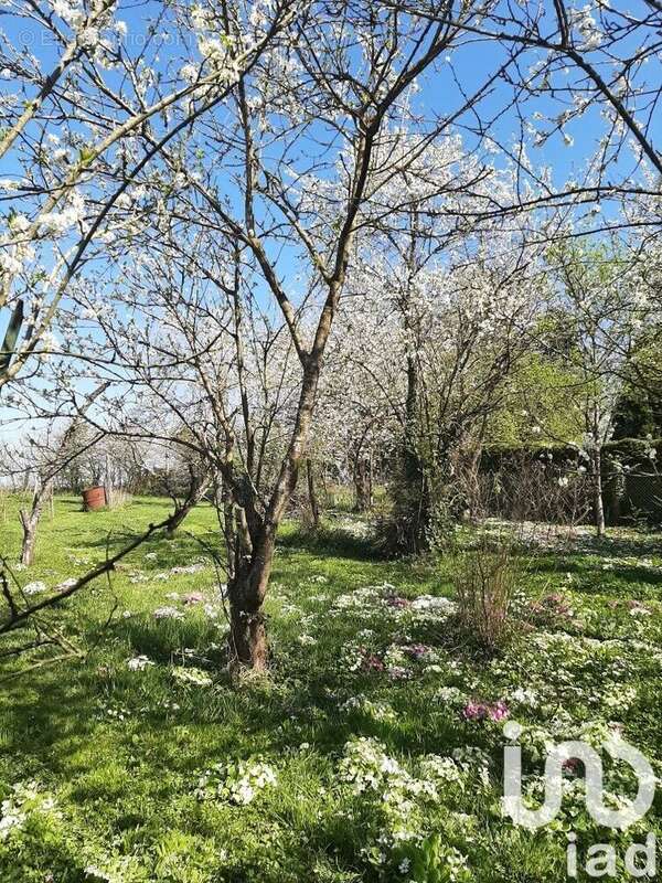 Photo 2 - Maison à MONTREUIL-AUX-LIONS