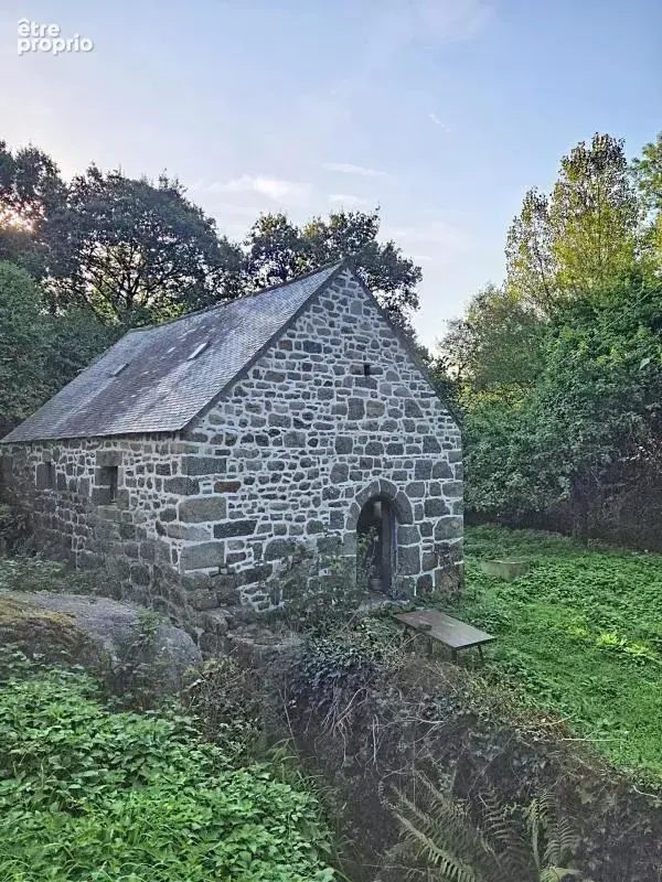 Ancien moulin et maison - 4 hectares - photo 3